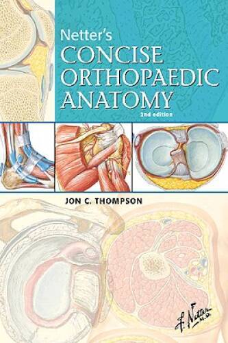 Netter’s Concise Orthopaedic Anatomy, 2e (Netter Basic Science) – GOOD