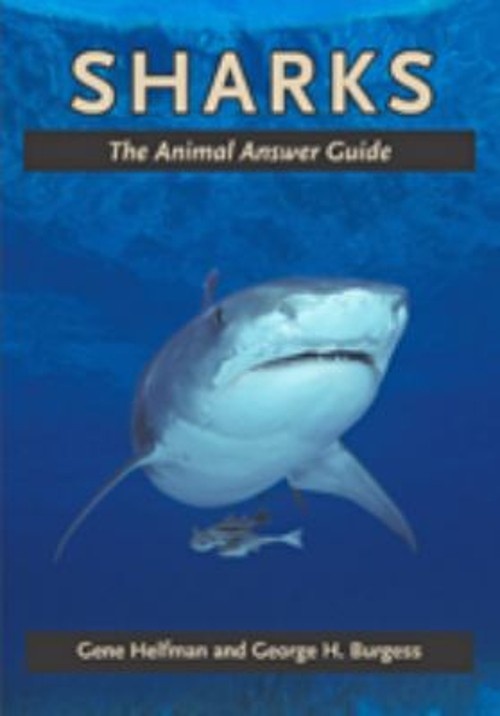 Sharks : The Animal Answer Guide Hardcover Gene, Burgess, George