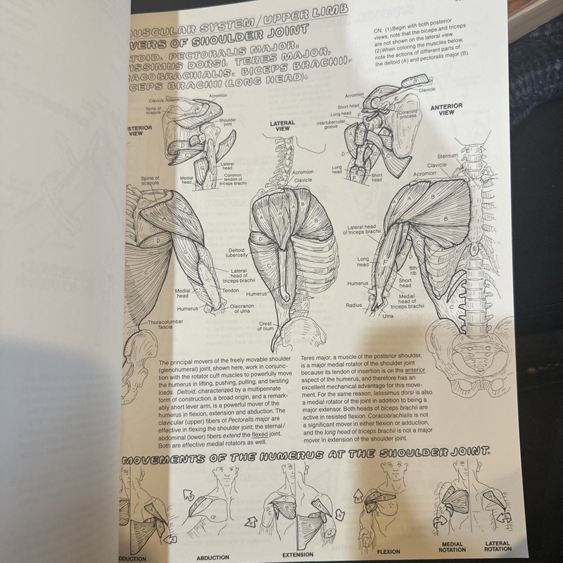 The Anatomy Coloring Book - paperback, Wynn Kapit, 9780064550161 gallery