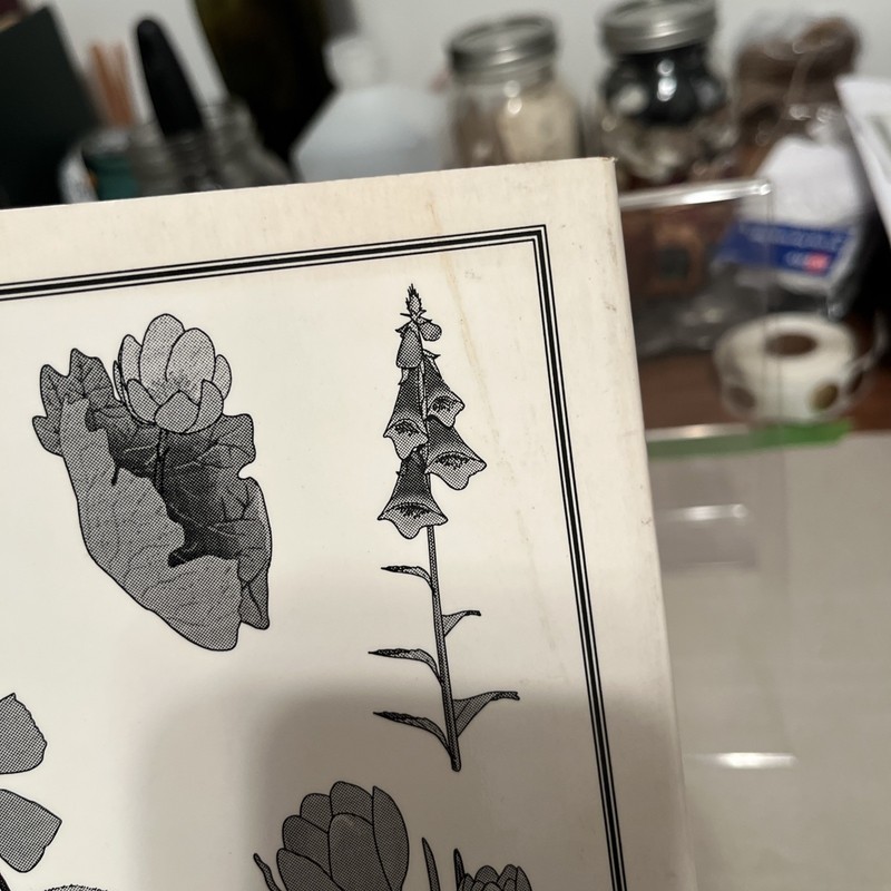 Herbal and Folk Medicine of Louisiana and the South Samuel Touchstone 1st Print gallery