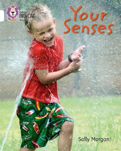 Sally Morgan Your Senses (Paperback) Collins Big Cat (UK IMPORT)