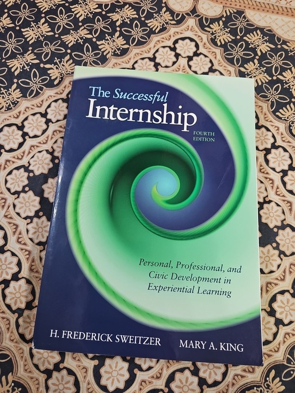 THE SUCCESSFUL INTERNSHIP Personal Professional & Civic Development PB BOOK ~Exc