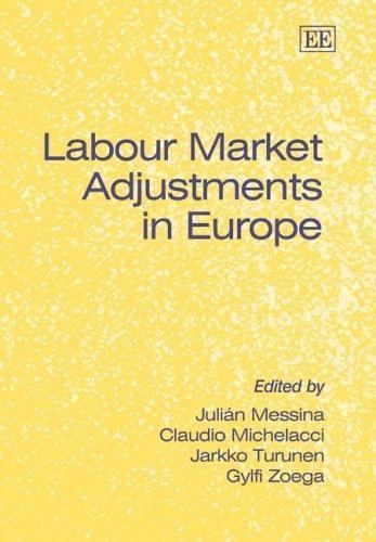 Labour Market Adjustments in Europe, , Very Good Book