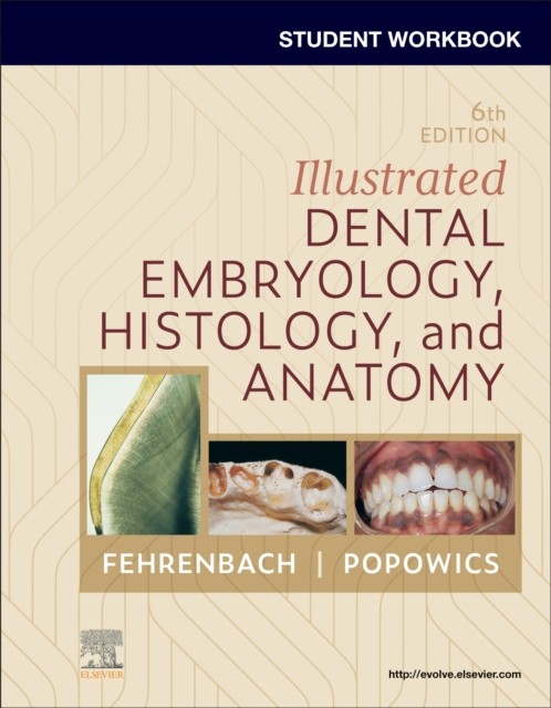 STUDENT WORKBOOK FOR ILLUSTRATED DENTAL by FEHRENBACH,MARGARET Paperback