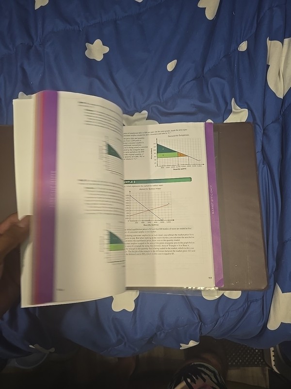 Print Companion for Connect Master: Economics (2018) (min water damage) w/Binder gallery