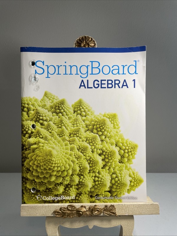Texas Spring Board Algebra 1 Consumable Student Edition – Paperback Pre-Owned