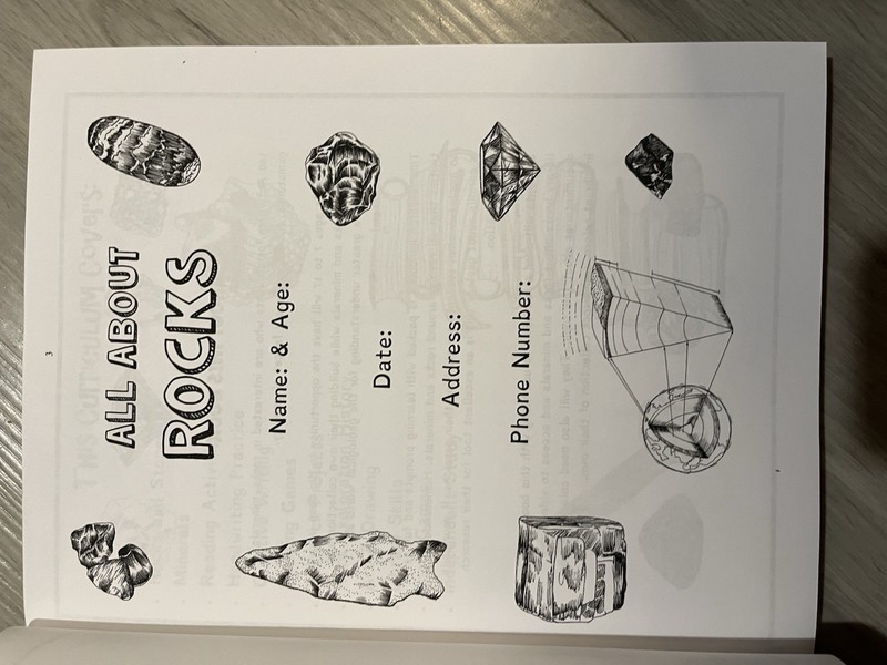 The Thinking Tree - Rocks Minerals - Science Activity Book Fun Schooling gallery