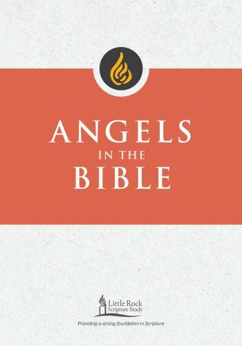 Angels in the Bible (Little Rock Scripture Study), Smiga STD, George M., Very Go