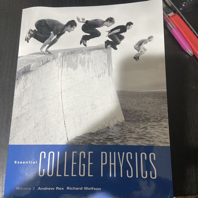 Essential College Physics by Andrew F. Rex and Richard Wolfson (2009, Trade PB)