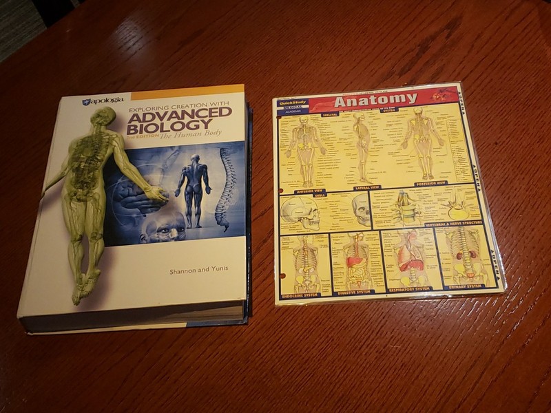 Apologia Exploring Creation with Advanced Biology: The Human Body- 2nd Edition