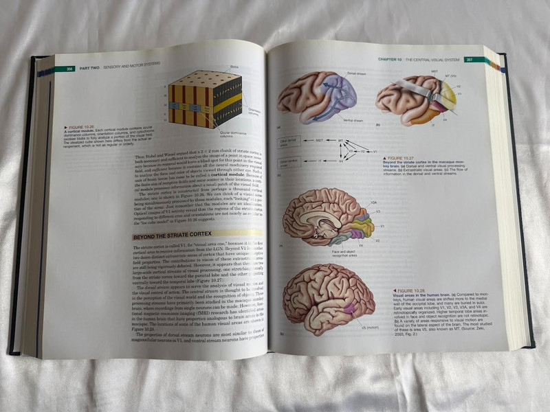 Neuroscience: Exploring the Brain, - Hardcover, by Mark F. Bear - Very Good gallery