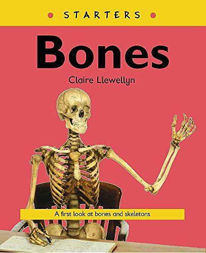 Read Write Inc. Comprehension: Bones (Starters) by Llewellyn, Claire Paperback