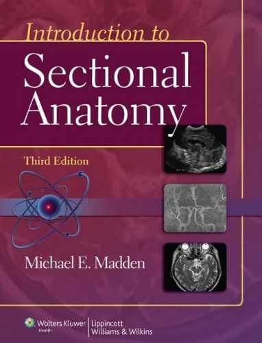 Introduction to Sectional Anatomy – Hardcover, by Madden PhD RT – Acceptable w