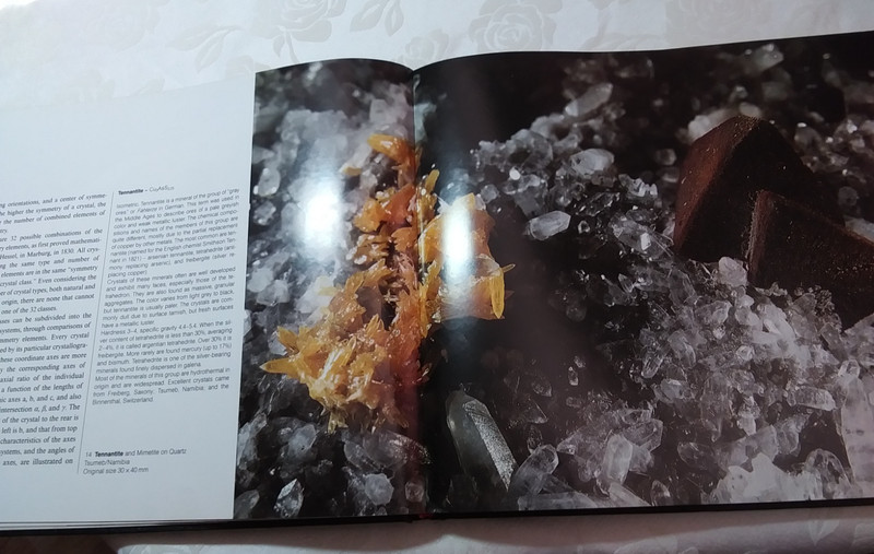 Rock identification book The Magic of Minerals 110 photos color large 196 pgs hb gallery