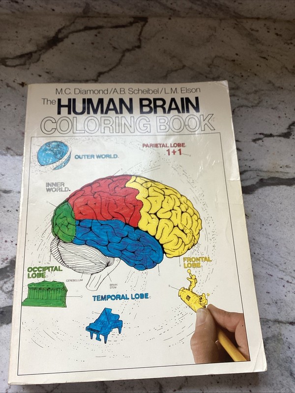The Human Brain Coloring Book: A Coloring Book (Coloring Concepts) – Paperba…