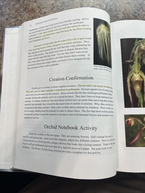 Apologia Exploring Creation with Botany (Young Explorer Series) gallery