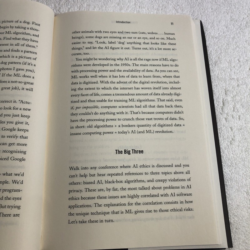 Ethical Machines: Your Concise Guide to Totally Unbiased, Transparent, and... gallery