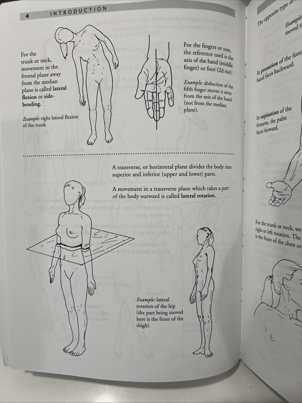 Anatomy of Movement by Blandine Calais-Germain Paperback Revised 1991 Edition gallery