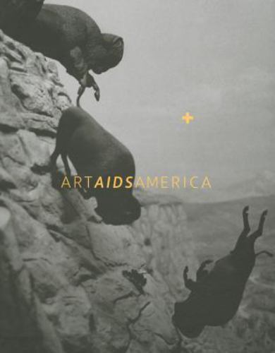 Art AIDS America, Paperback by Katz, Jonathan David; Hushka, Rock; Arning, Bi…
