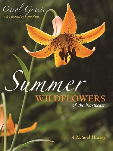Carol Gracie Summer Wildflowers of the Northeast (Paperback) (UK IMPORT)