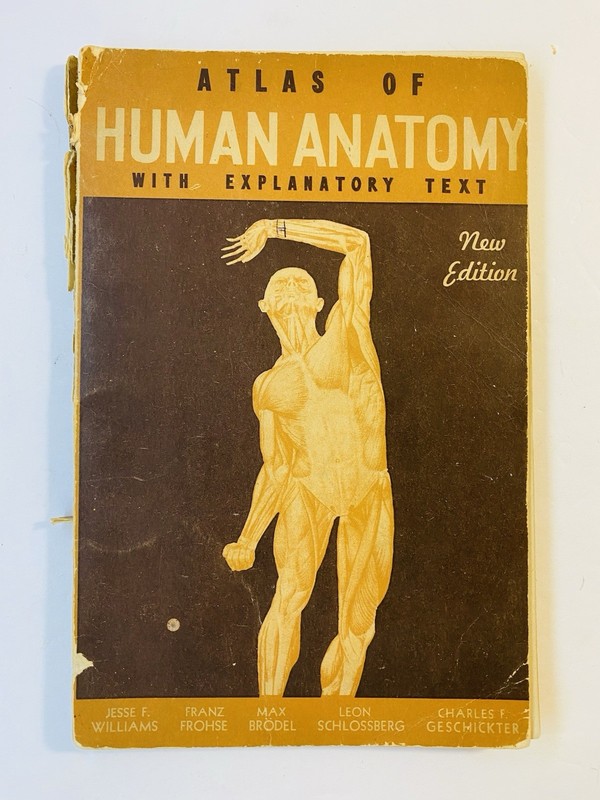 Atlas Of Human Anatomy With Explanatory Text 1942 SC Barnes & Nobles