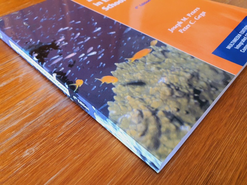Concepts And Inquiries In Elementary School Science - Joseph Peters & Peter Gega gallery