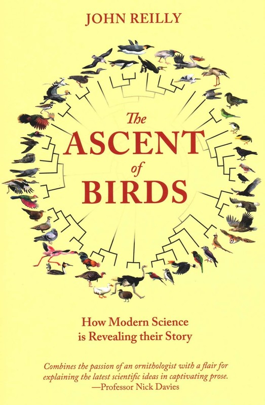 Ascent of Birds: How Modern Science Is Revealing Their Story by Reilly