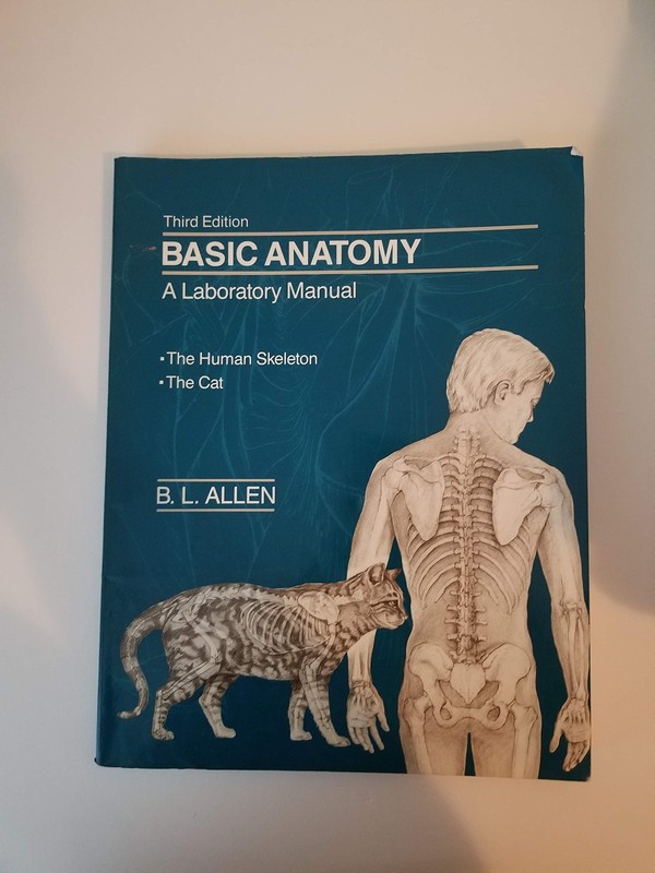 Basic Anatomy: A Laboratory Manual- The Human Skeleton / The Cat by B. Allen