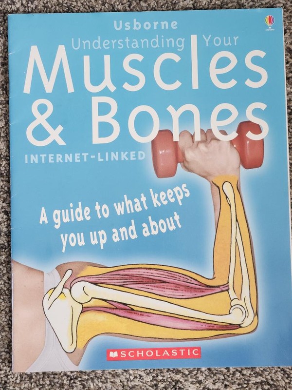 Understanding Your Muscles & Bones VERY GOOD Internet-Linked