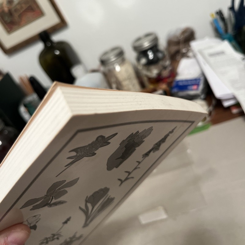 Herbal and Folk Medicine of Louisiana and the South Samuel Touchstone 1st Print gallery