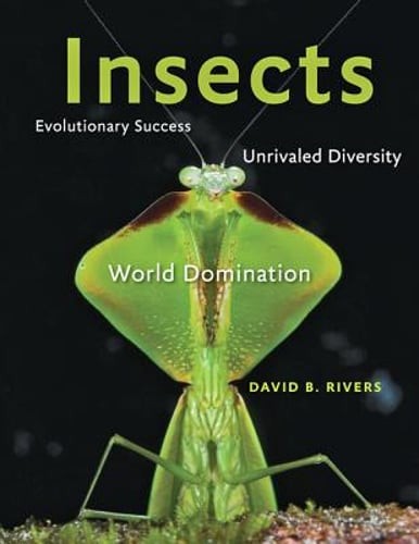 Insects: Evolutionary Success, Unrivaled Diversity, and World Domination: Used