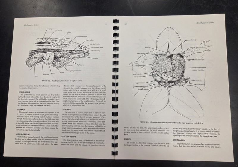 Frog Dissection Manual by Bruce D. Wingerd (1988) Johns Hopkins University Press gallery