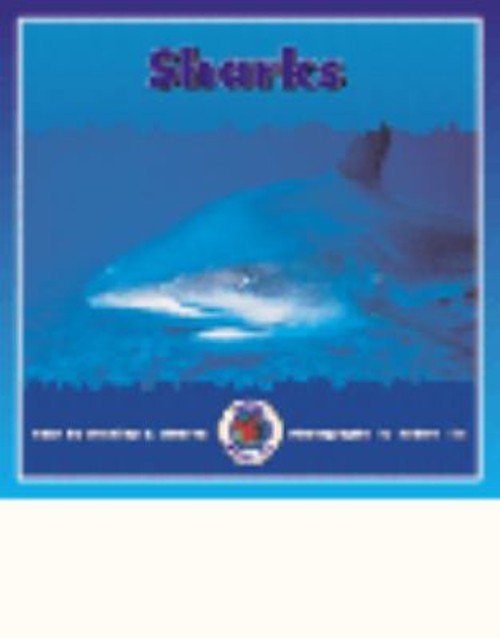 Sharks Paperback Dominie Elementary