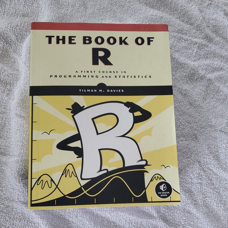 The Book of R: A First Course in Programming and Statistics – Paperback – GOOD