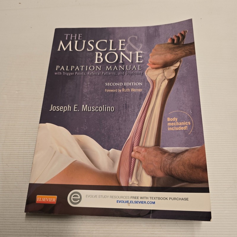 The Muscle & Bone Palpation Manual Second Ed Muscolino Anatomy Physiology