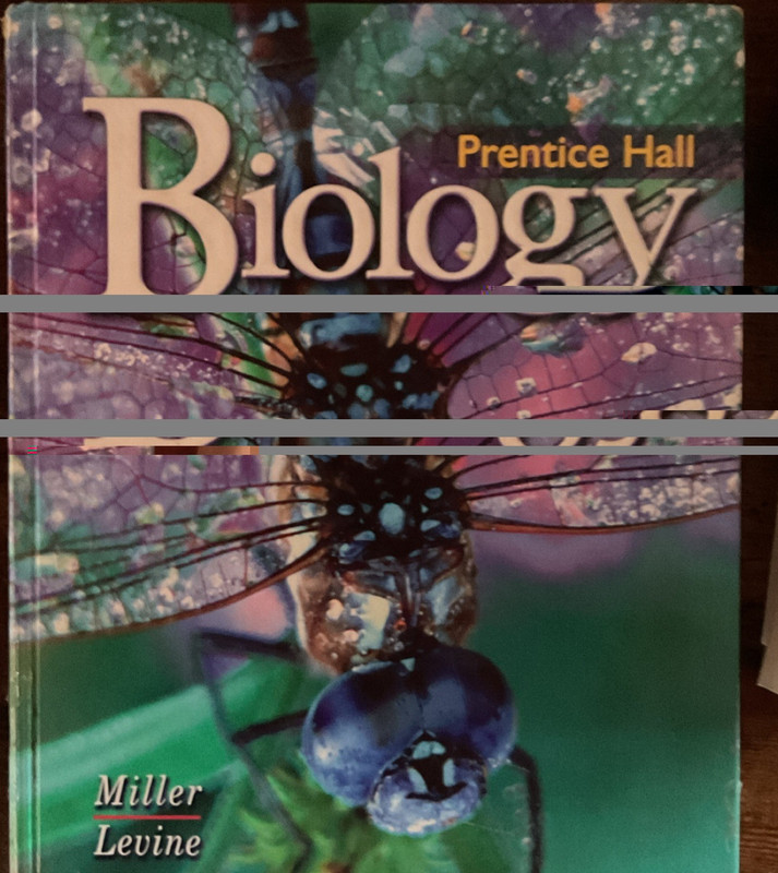 Prentice Hall Biology Textbook Hardcover 1998 Miller Levine 820 Pages