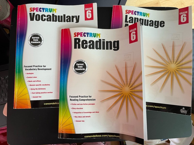 Spectrum Vocabulary Reading Language Arts Grade 6 Carson-Dellosa lot