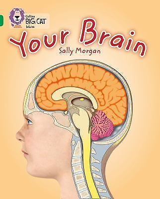 Collins Big Cat Ser.: Your Brain : Band 15/Emerald by Sally Morgan (2013, …