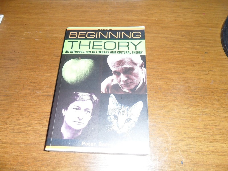 Beginning Theory: An Introduction to Literary and Cultural Theory – paperbac…