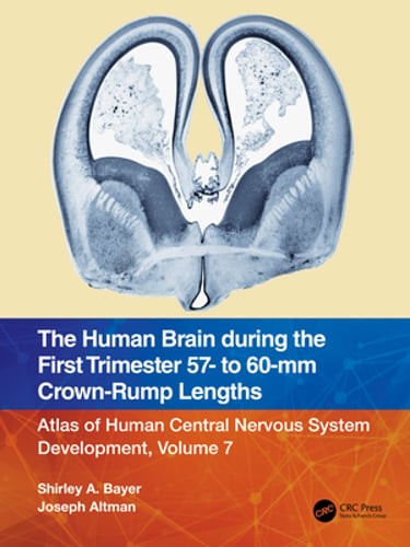 The Human Brain During the First Trimester 57- To 60-MM Crown-Rump Lengths:: New