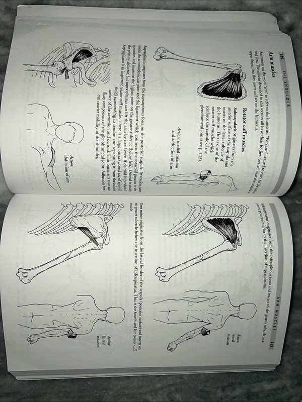 Anatomy of Movement by Blandine Calais-Germain Paperback Revised 1991 Edition gallery