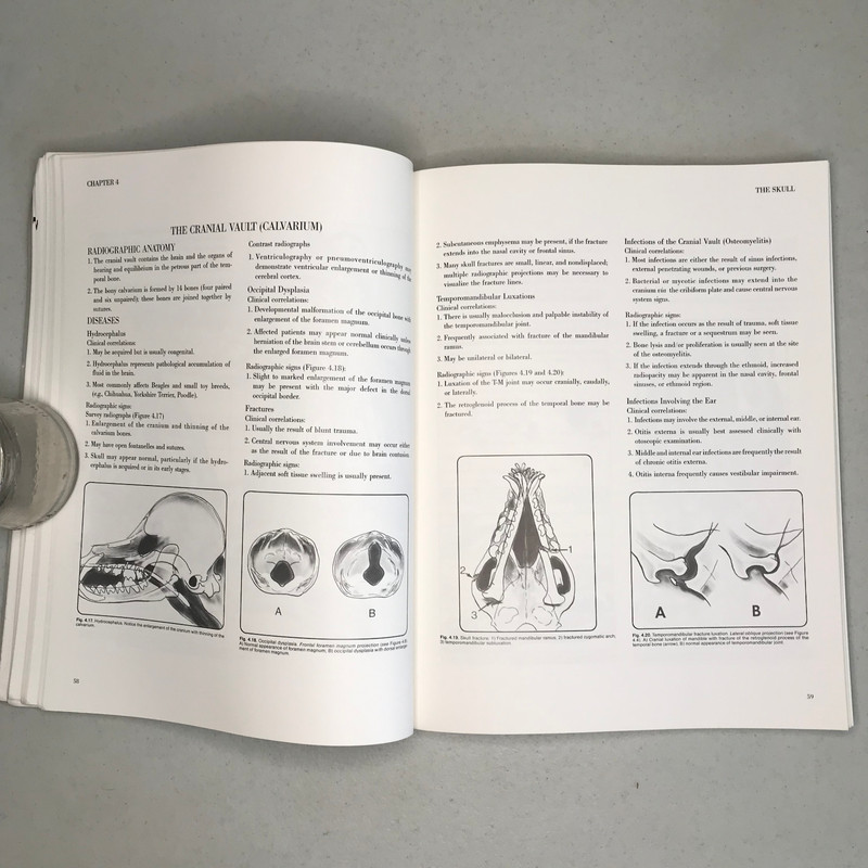 Radiographic Interpretation for Small Animal Clinician, 1982 Vintage Paperback gallery