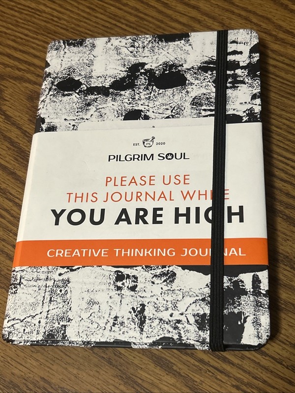 Creative Thinking Journal : Pilgrim Soul Guided Journal by Shawn Gold (2020,…