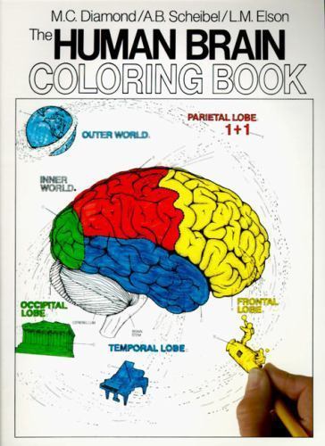 The Human Brain Coloring Book: A Col- 9780064603065, Marian C Diamond, paperback