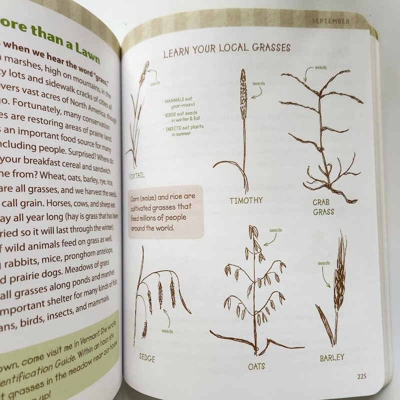 The Nature Connection Outdoor Workbook for Kids, Families, and Classrooms Clare gallery