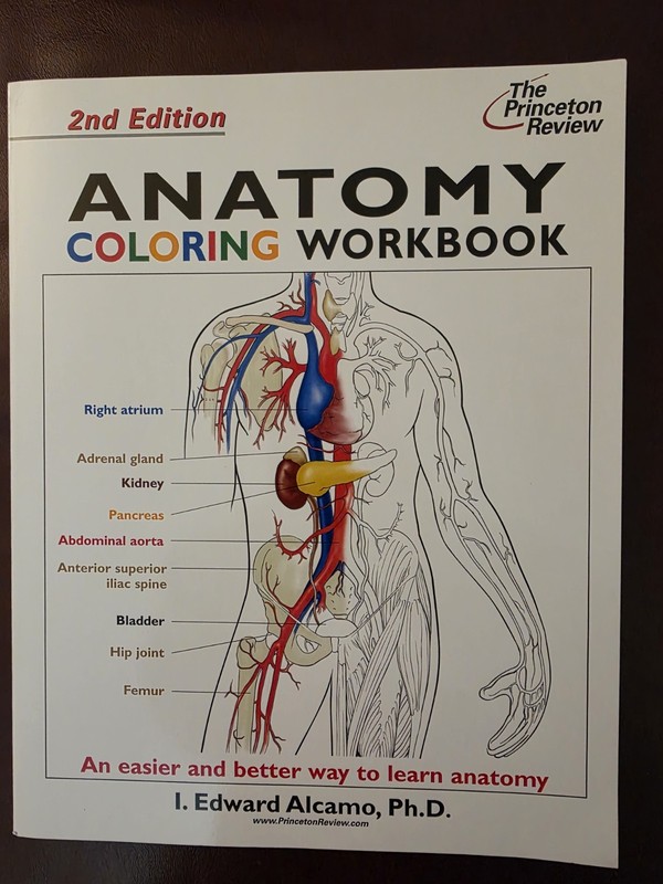 Coloring Workbooks Ser.: Anatomy by Princeton Review Staff (2003, Trade…