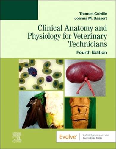 Clinical Anatomy and Physiology for Veterinary Technicians by Colville: Used