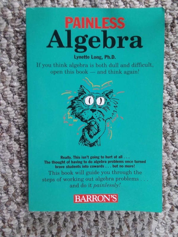 Painless Algebra – Lynette Long – Good – See condition notes