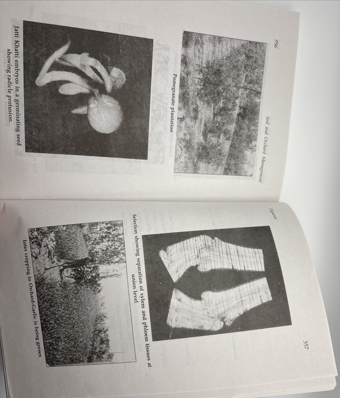 Soil and Orchard Management gallery