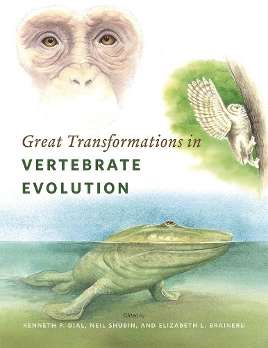 Kenneth P. Dial Great Transformations in Vertebrate Evol (Paperback) (UK IMPORT)